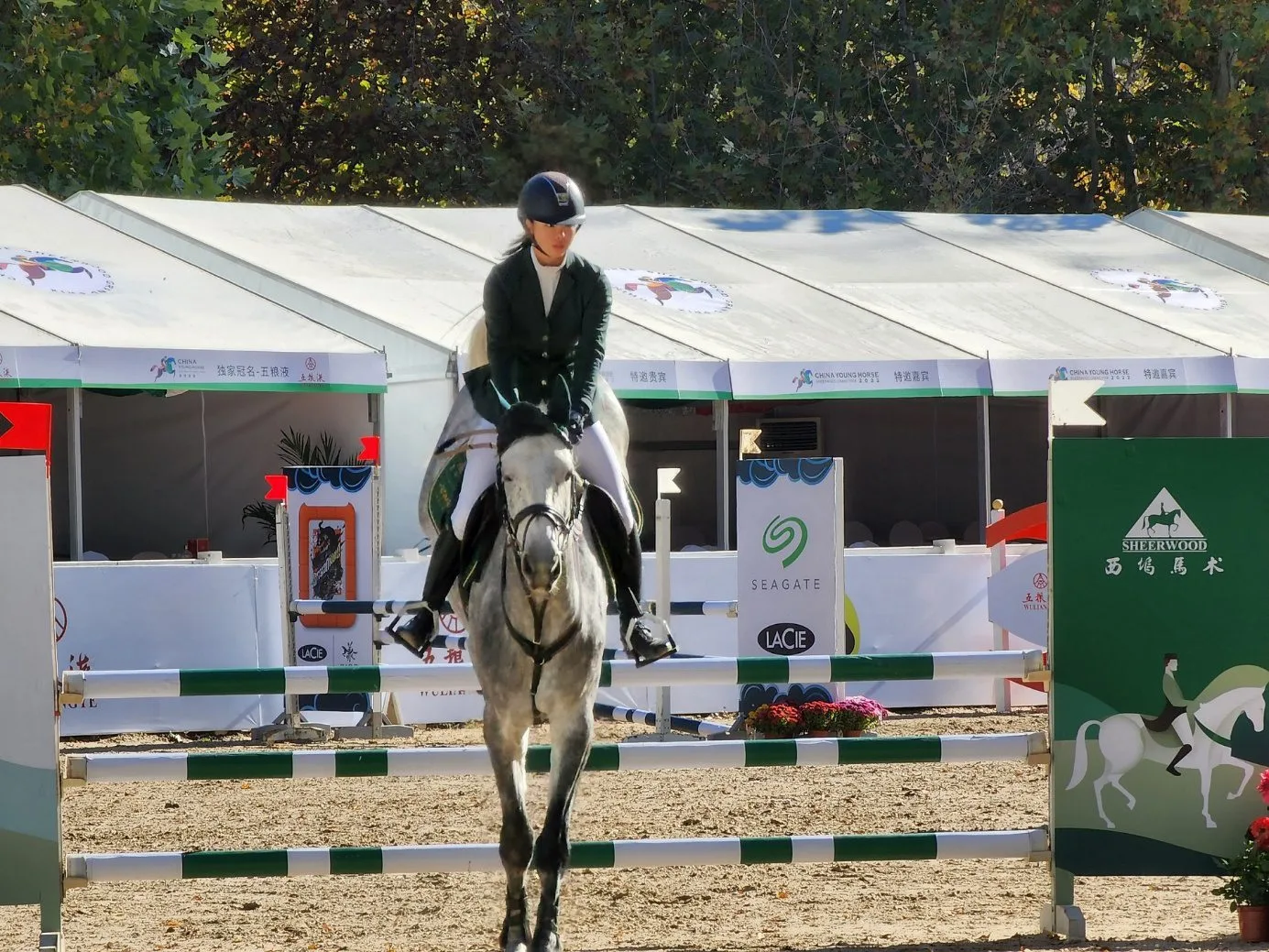 中国年青马大赛又来啦！和希捷一起pick你的爱马