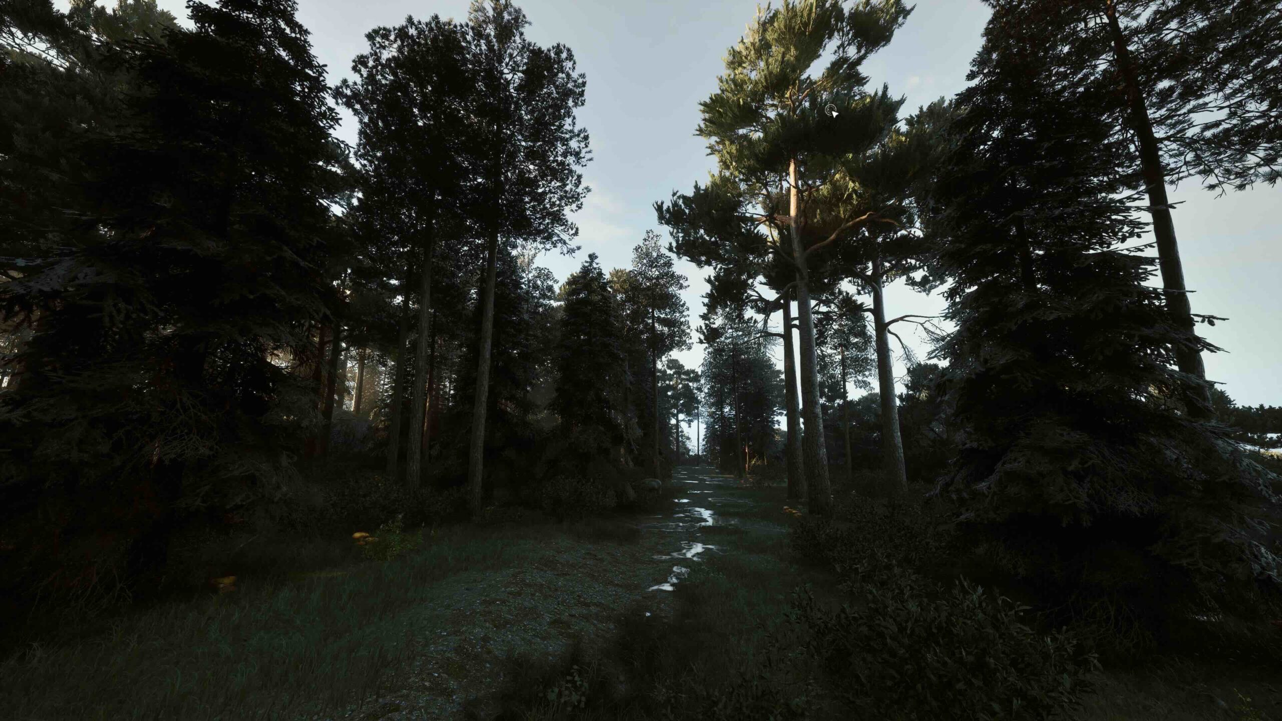 505 Pulse正式宣布发售《黑森林迷踪》