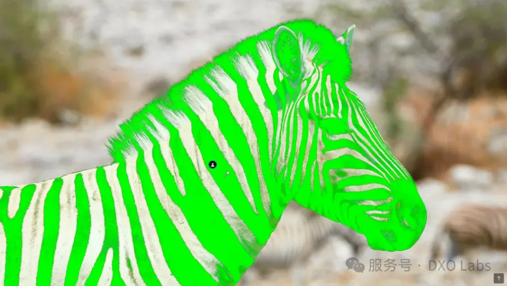DxO PhotoLab 10 以景深蒙版、高级调色和扩充的AI工具,开启RAW照片编辑的新时代 https://popsoft.com/wp-content/uploads/2026/09/图片-3-1024x577.webp